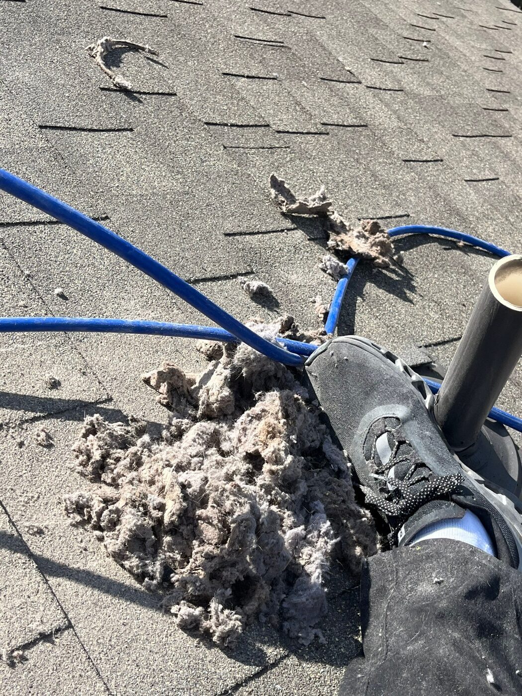 Lint pulled from a single roof run, laid out next to the cap