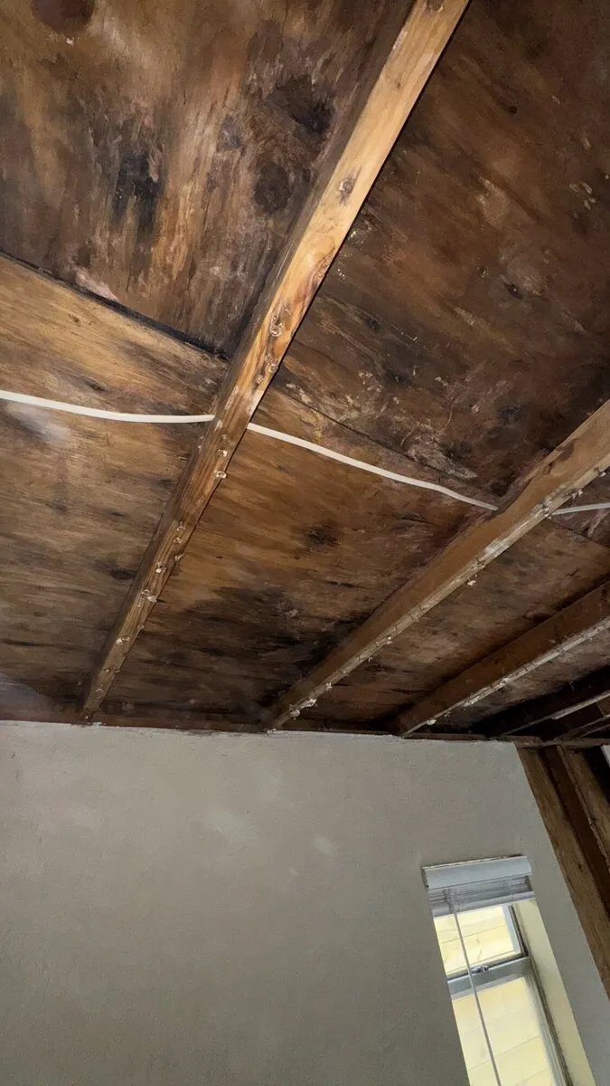 Job photo in Austin, TX