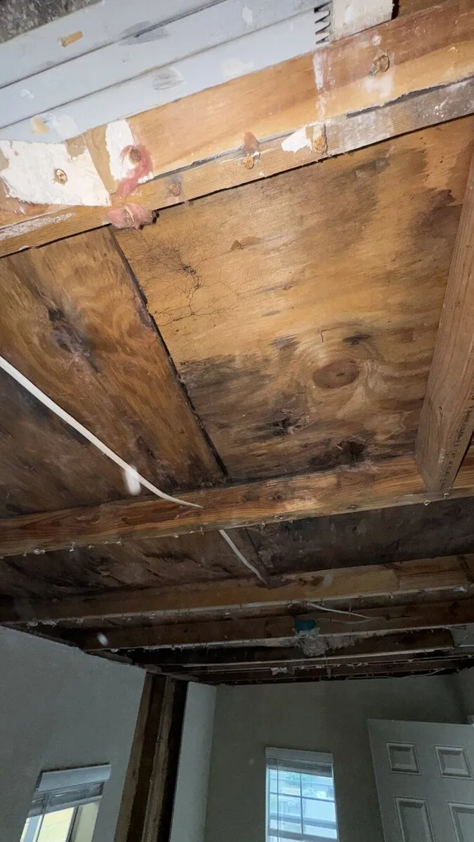 Job photo in Austin, TX