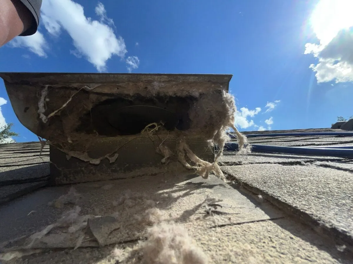 Job photo in Cedar Park, TX