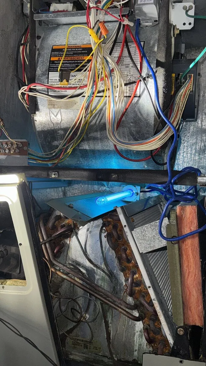 Job photo in Tow, TX