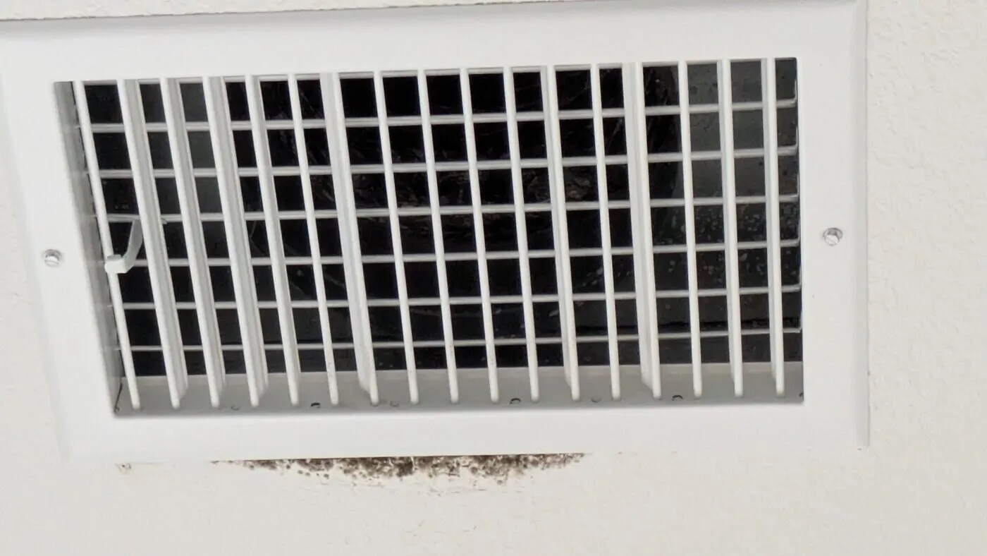Cedar fever season: what actually helps with indoor air in a Hill Country home