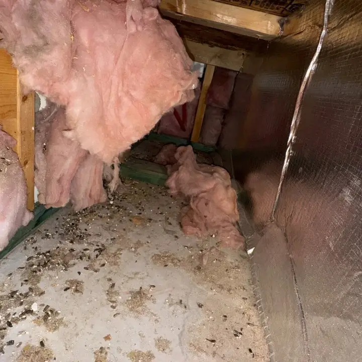 Old pink insulation before removal, Central Texas