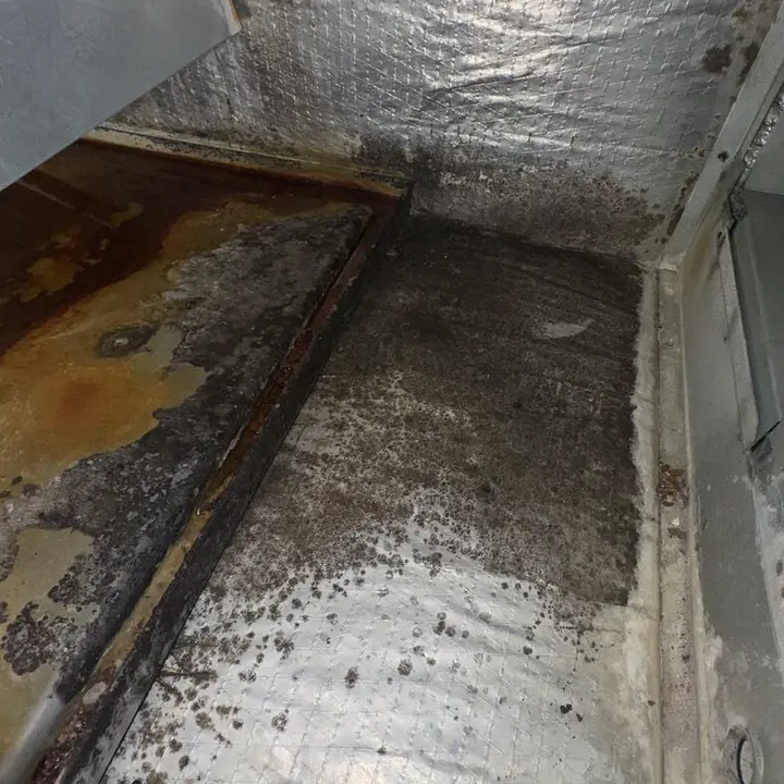 Rusted coil drain pan, Central Texas