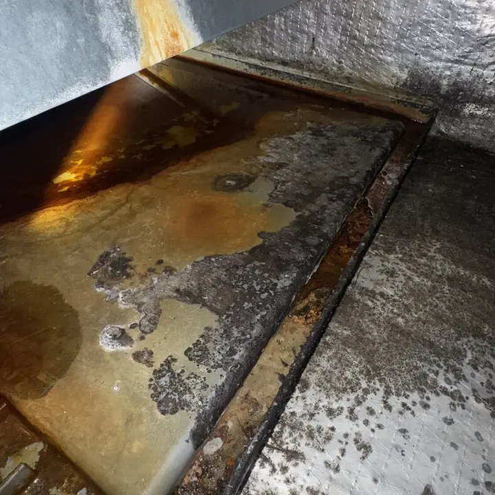 Drain pan with standing water, Central Texas