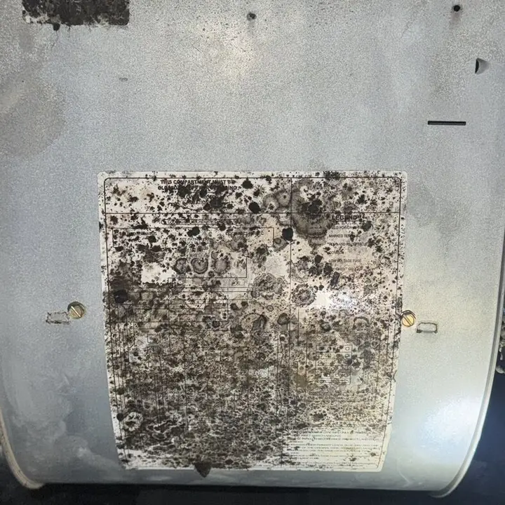 Microbial growth on the air handler cabinet, Central Texas