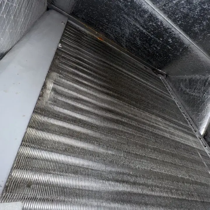 Soiled evaporator coil, Central Texas