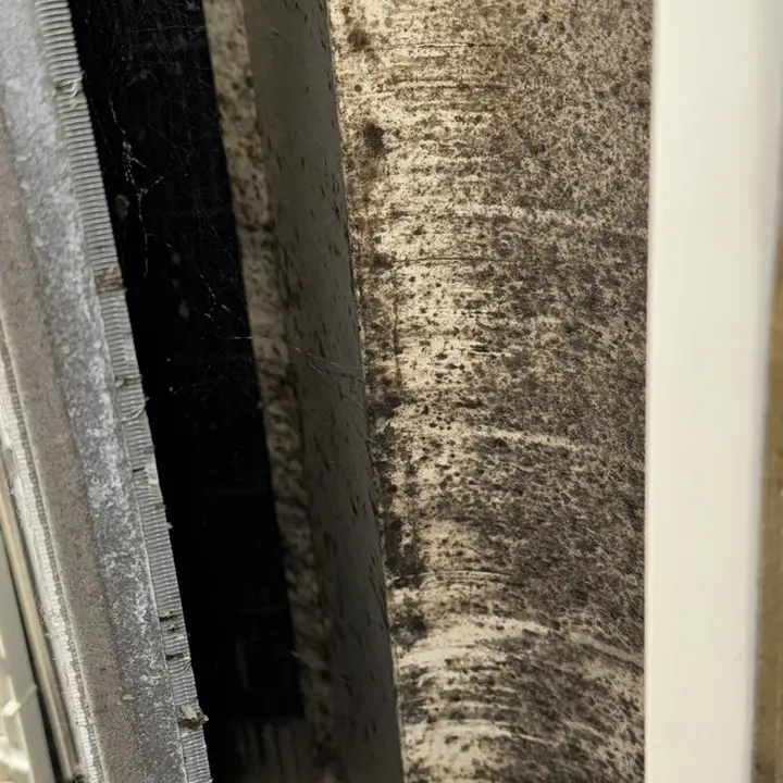 Coil fins with buildup, Central Texas