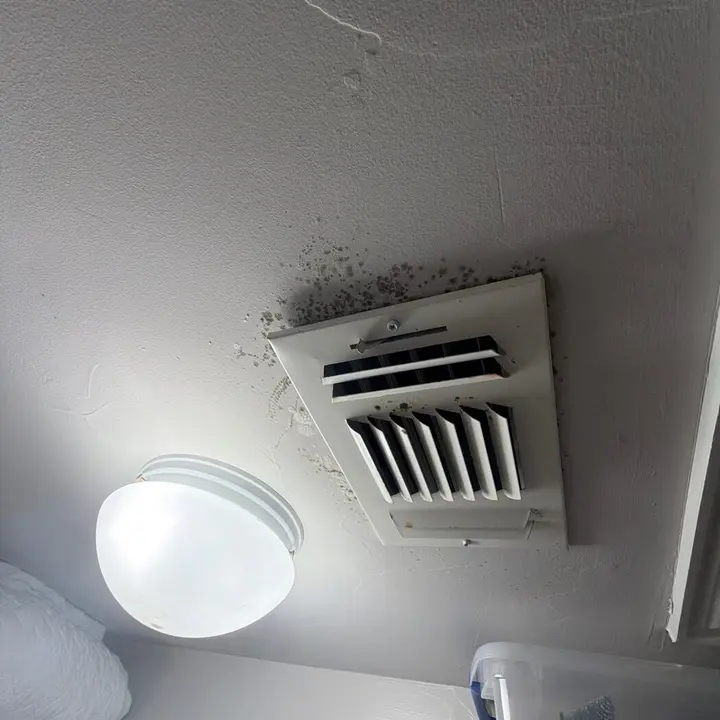 Ceiling grille and light, Central Texas
