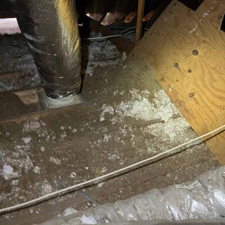 Ducts in the attic with debris, Central Texas