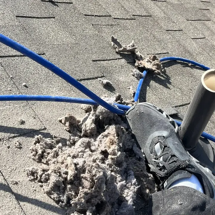 Lint around a roof vent, Central Texas