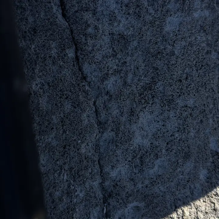 Crown crack, close up, Central Texas
