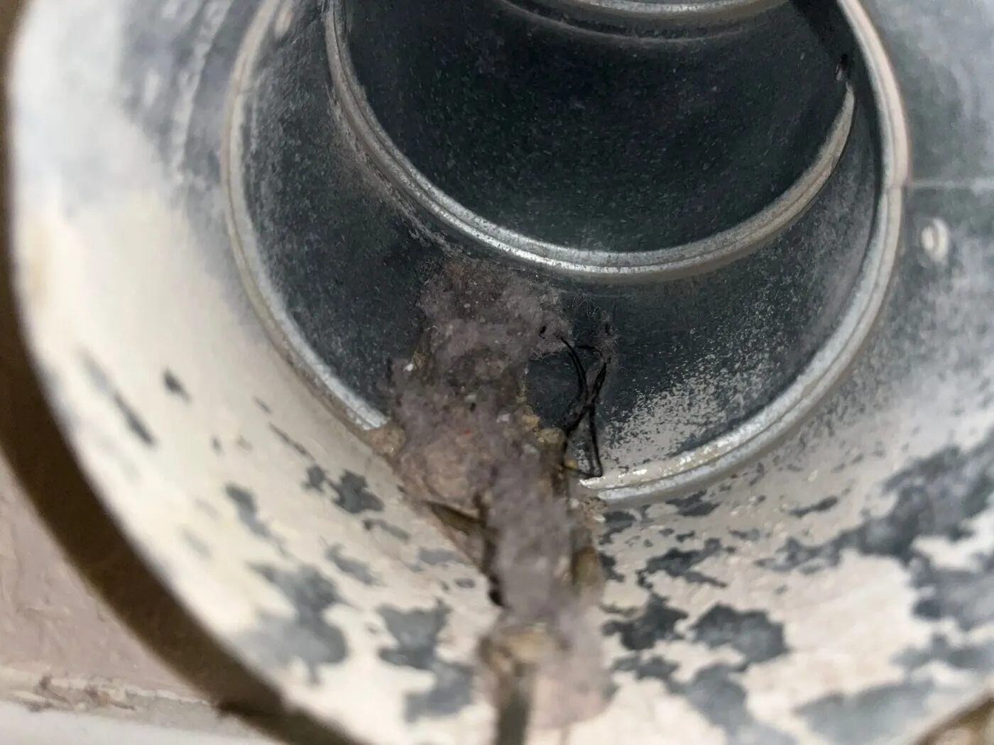 Dryer Vent Cleaning