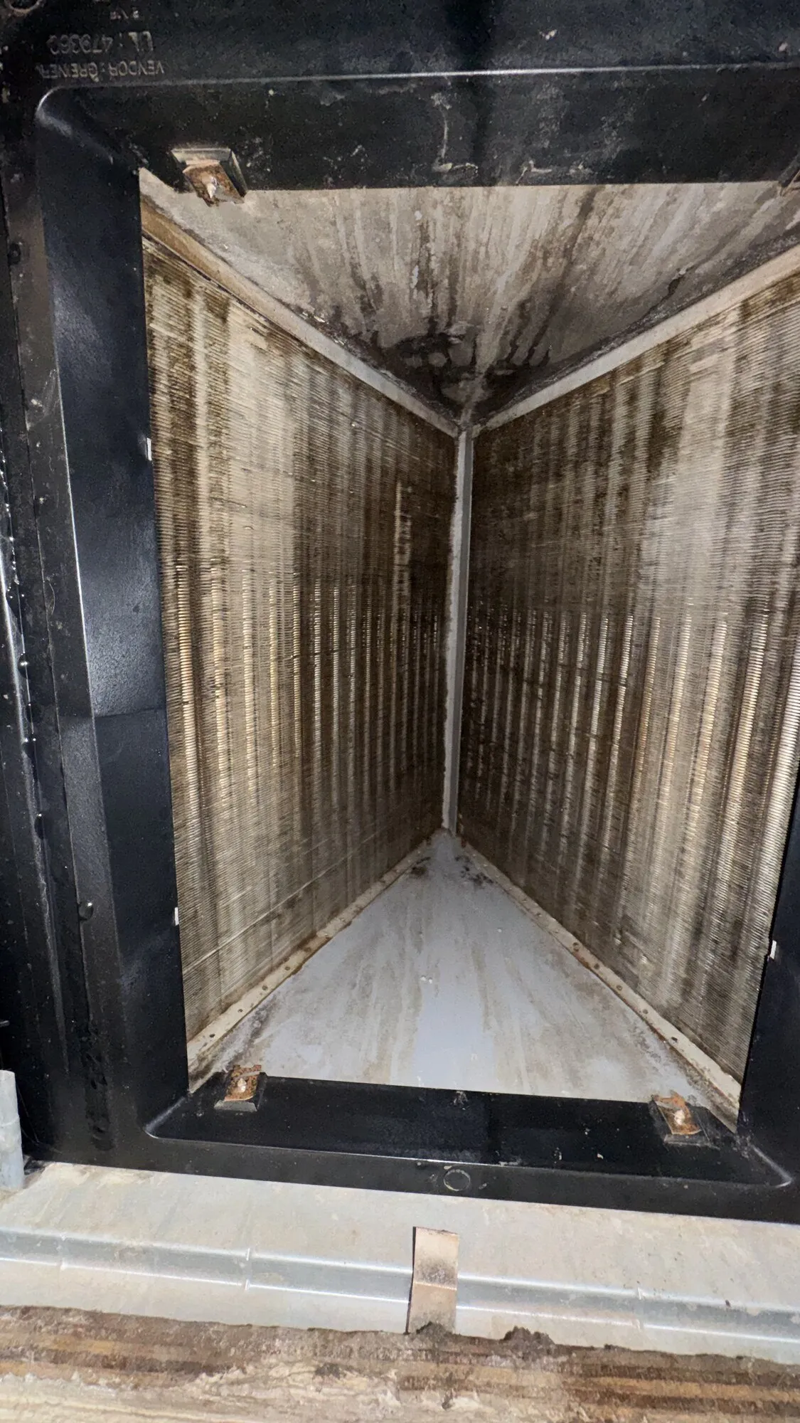Microbial Growth in Air Ducts