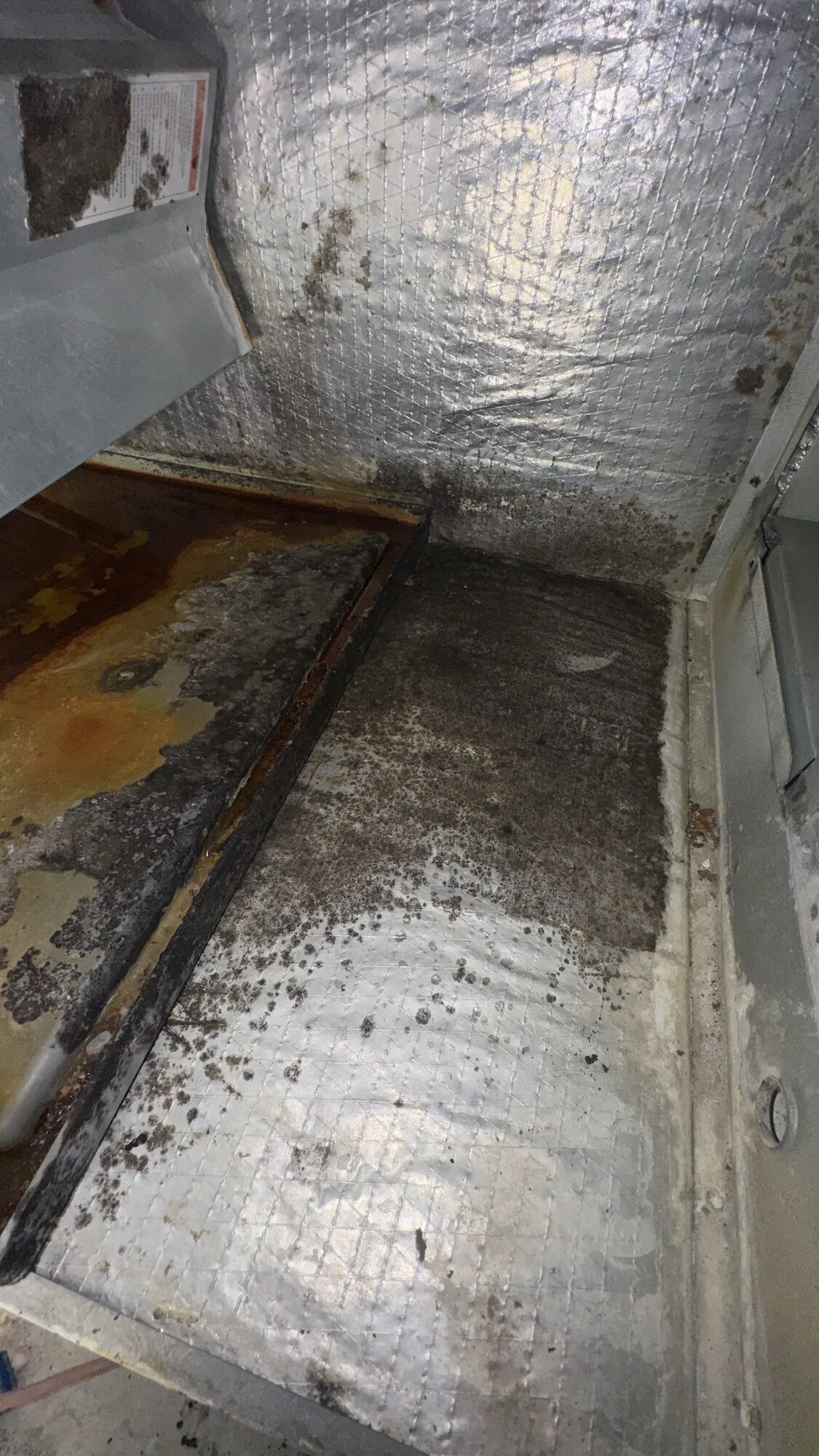 Water Damage Inspection & Drying