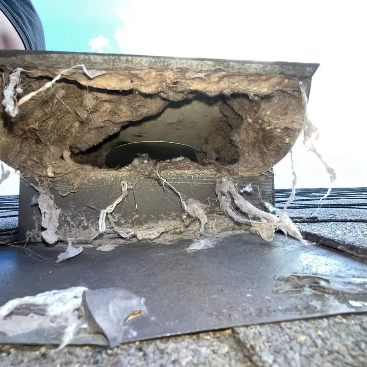 Dryer Vent