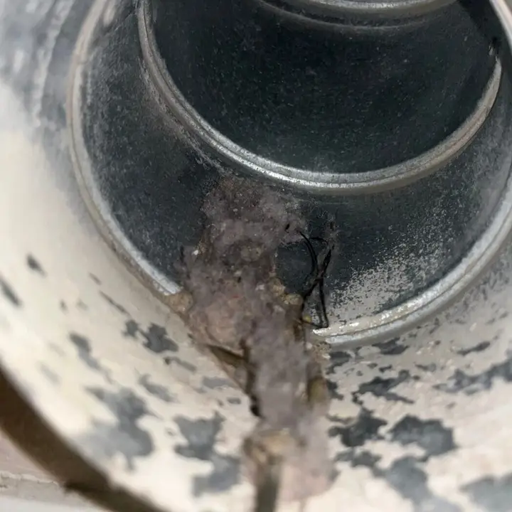 Dryer Vent
