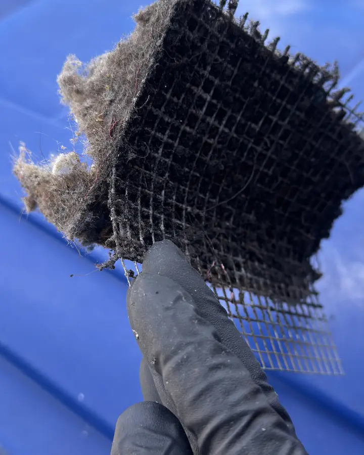 Dryer Vent
