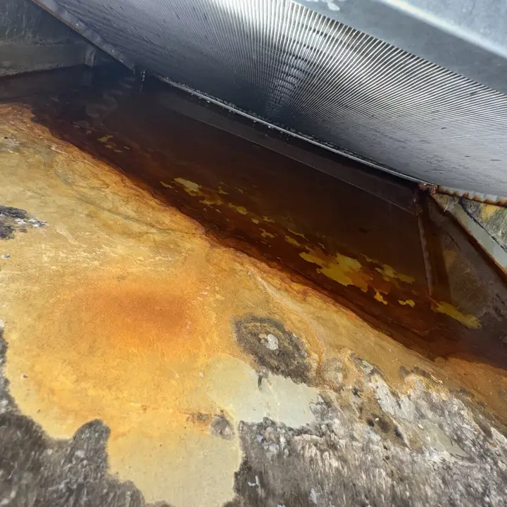 Water Damage Restoration