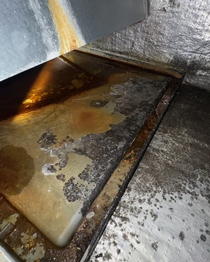 Water Damage Restoration