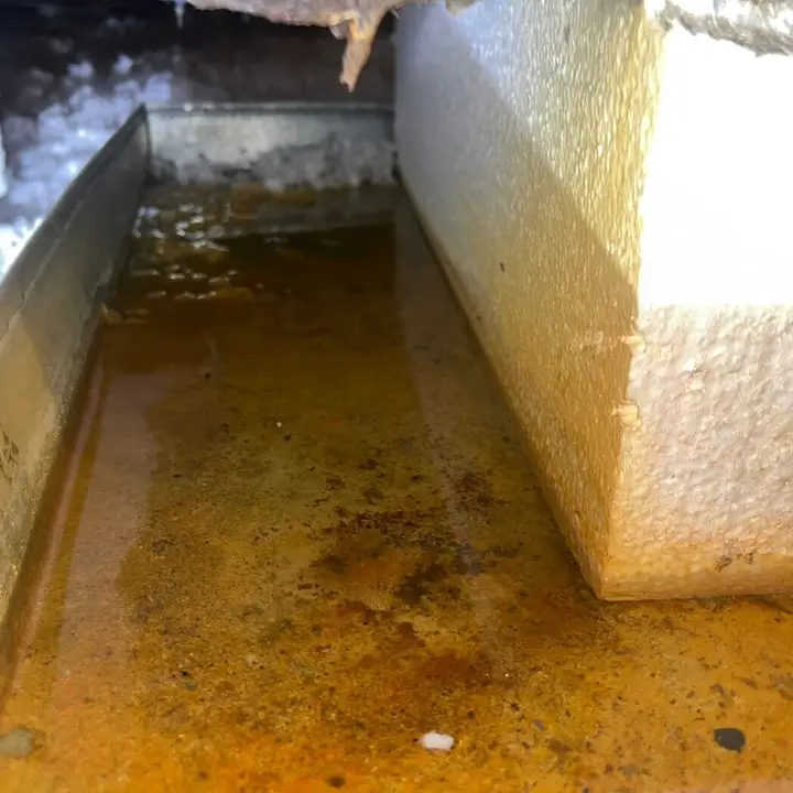 Water Damage Restoration