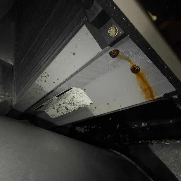 Water Damage Restoration