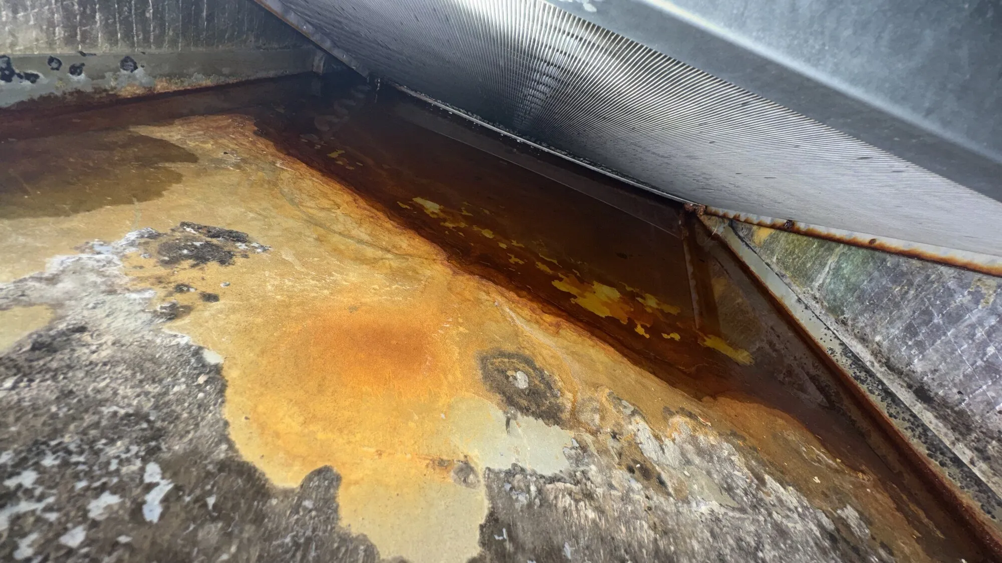 Water Damage Restoration